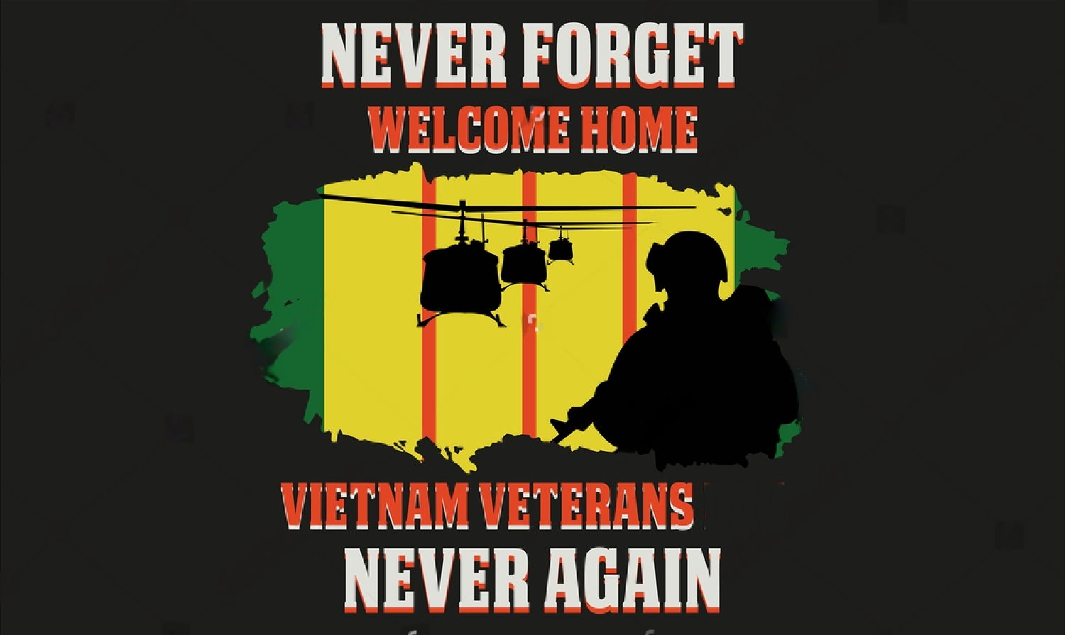 Nerver Forget Vietnam Veterans, Never Again