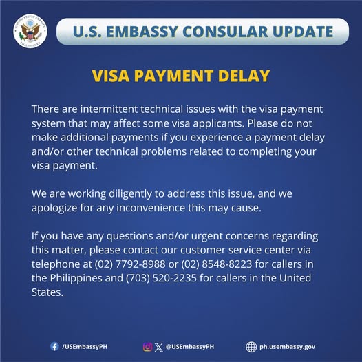 Intermittent Technical Issues with the Visa Payment System